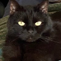 cloteaux (@luckylilly49) 's Twitter Profile Photo