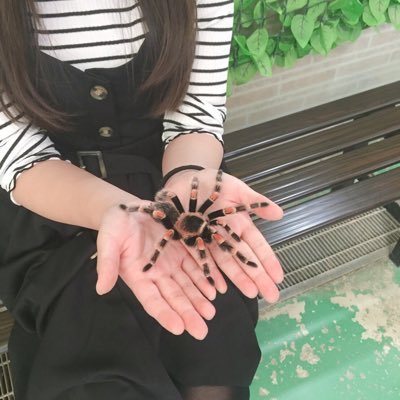 Me_Bachinko's profile picture. Fortnite女子です(*≧∀≦*)
