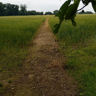 dmonty007's profile picture. Dug je put so still getting in the water to learn how to swim!