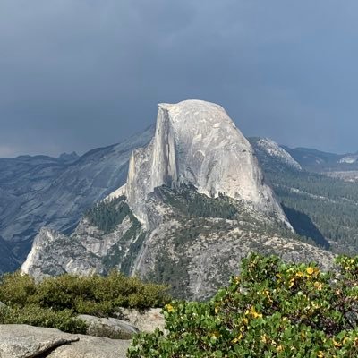 pinkslime39's profile picture. 