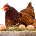 egg (@ngawipos2pos) Twitter profile photo egg (@ngawipos2pos) Twitter profile photo