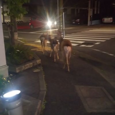 奈良県で土木工事の仕事にとりくんでおる会社の広報担当です!!
僕らと一緒に働いてくれる作業員さんを募集したいなって思ってこのアカウントをつくりました!!
募集内容
土木作業員
住み込み、通勤どちらも
住み込みの場合、朝昼晩食事つき
個室
冷暖房完備
ネット環境良好
給料
日当10500円
1日でもオッケイ!!