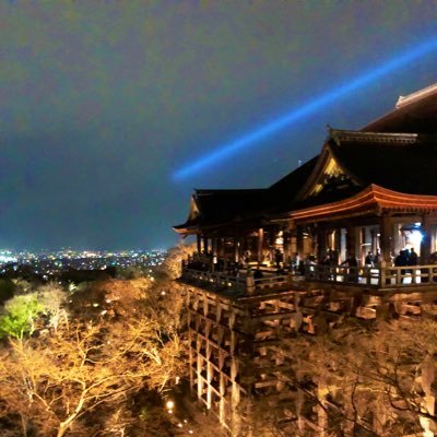 samu__246911's profile picture. 