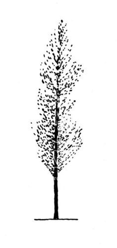 FilmSpire's profile picture. A flexible packaging centric resource.  Connecting manufacturers, end users and underused assets with markets in need.  Online reference library arriving soon.