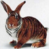 Phil End ⚽️ (@phil_end) 's Twitter Profile Photo