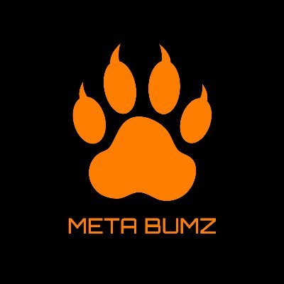 metabumz Profile Picture