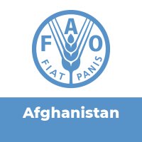 FAO in Afghanistan (@faoafghanistan) 's Twitter Profile Photo FAO in Afghanistan (@faoafghanistan) 's Twitter Profile Photo