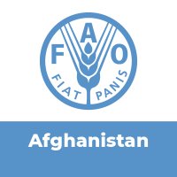 FAO in Afghanistan(@FAOAfghanistan) 's Twitter Profile Photo