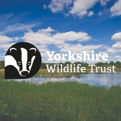 @YorksWildlife wetland nature reserve in Doncaster covering 200ha. Visit our visitor centre cafe and join in events | DN4 8DB