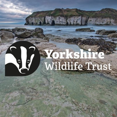 @YorksWildlife marine programme, promoting Living Seas in Yorkshire as part of @WildlifeTrusts vision to bring our seas back to life! 💙🌱🐬🌿🐟🦀