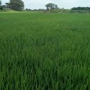 Enrique Zàrate - @Enrique28301985 - Twitter