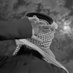 ً (@r9k5_) Twitter profile photo ً (@r9k5_) Twitter profile photo