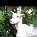 Jacinta Sullivan - @jacsull - Twitter