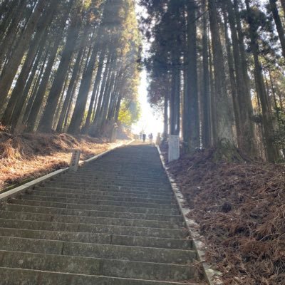 oE6bTLYKkHcqST3's profile picture. よろしくお願いしますー👈👈