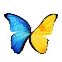 πππππ¨π¬π - come 4 one of us, you come 4 all (@psyched55) 's Twitter Profile