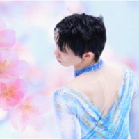 Freeになったyuzubird໒꒱(@fly_yuzubird) 's Twitter Profile Photo