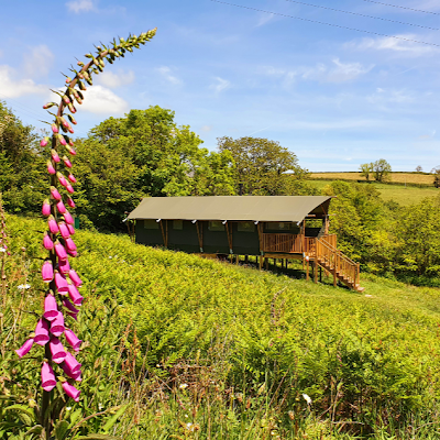 Award Winning Glamping in South Devon