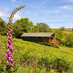 Brackenhill Glamping (@Brackenhill_G) Twitter profile photo