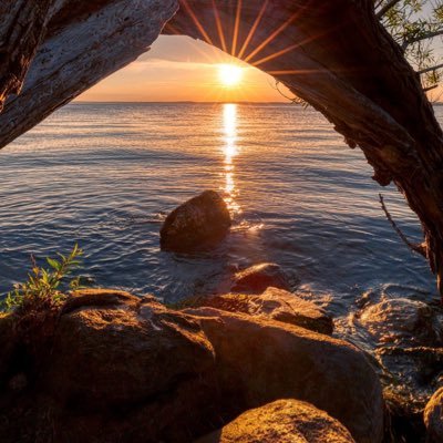 ryopapayp's profile picture. 息子とワンピポケカしてます。なら