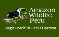 Jungle Specialist - Travel Operator