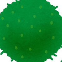 りも (@mmm_pl51) 's Twitter Profile