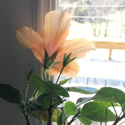 nat_natalia3783's profile picture. Enjoy time w/fam, music/worship, singing, nature, art, quiet places. Christian, wife, mommy, step-mom, sister, daughter, friend, health-nut.;)