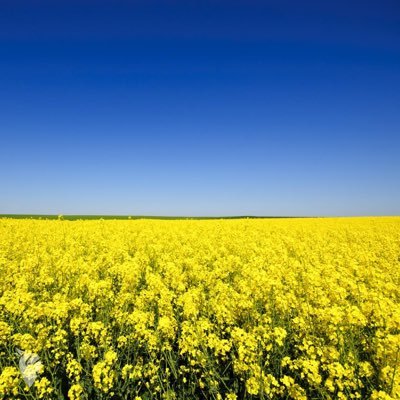 joop08382916's profile picture. 