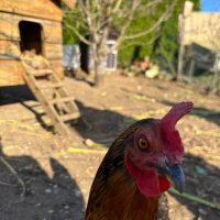 MaxHey (@max_cailleau) 's Twitter Profile