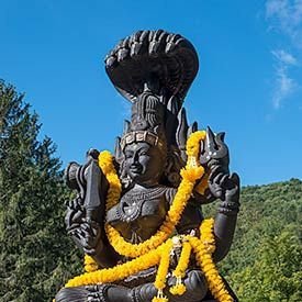 kennan_mangudi's profile picture. 🌾 விவசாயம் காப்போம்🌾