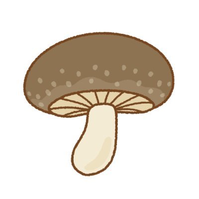 叡智のしいたけさんのプロフィール画像