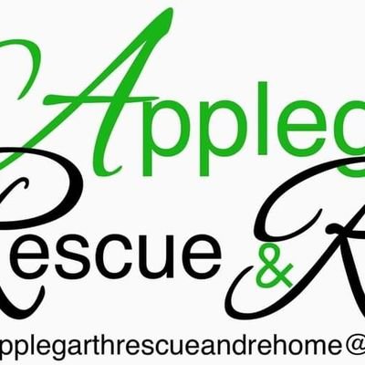 Applegarth Rescue and Rehome are a small animal rescue based in West Sussex, supporting animals from overseas and in the UK find their forever homes 🐾🏡