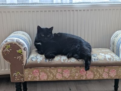 FantaFünfPrivat Profile