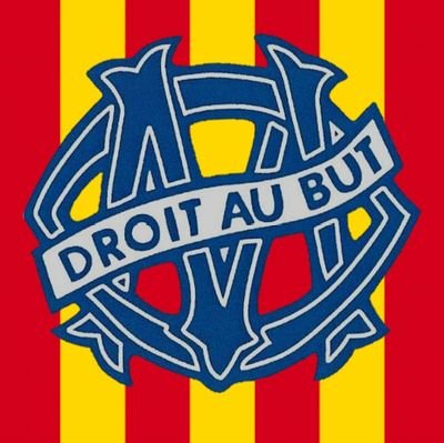 Roumégueur & patougéreur romantico-nostalgique, amoureux fou de l'Olympique Magnifique.
#NosCouleursSontBleuEtBlanc #LibertéPourLesUltras #NoPyroNoParty