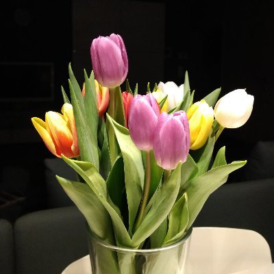 mp_marinamarket's profile picture. Wherever you go, there you are.