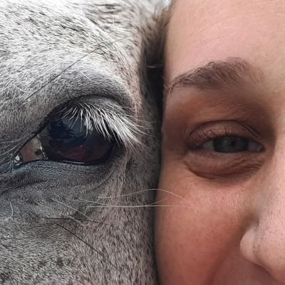 pipidecoud's profile picture. Paz&Amor