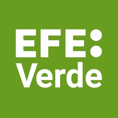 EFEverde Profile Picture