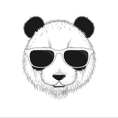 James19111010's profile picture. 调停者人格|INFP-A / INFP-T