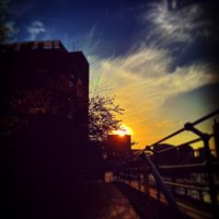 HAL (@twilightoracle) 's Twitter Profile