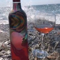 🍷📡 🇨🇱 (@copaconwifi) 's Twitter Profile