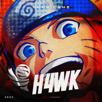 H4WK (@_h4wk__) 's Twitter Profile Photo