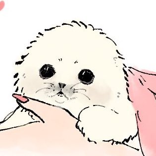 suji_bbb's profile picture. 成人済🦭🎪BabiiでChaobiiでShiphye ※同界隈、18歳以上の方のみ承認します🦭