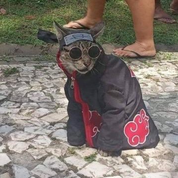 Byebreh's profile picture. nthing much