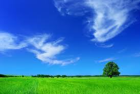 pH_Living's profile picture. We provide healthy, sustainable & affordable homes for people with multiple chemical sensitivities and those looking to live in a healthier environment