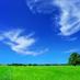 pH Living (@ph_living) Twitter profile photo