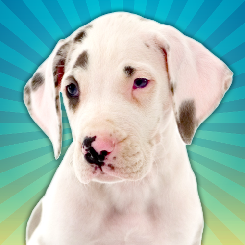 An iPhone Application from @alexalbrecht and @schnelle .. it's Montana & Apollo cleaning your phone from the inside!