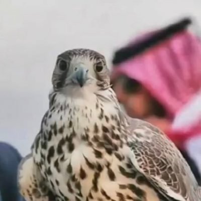 هويتي السعوديه فوق كل إعتبار ولائي لله ثم الملك وولي عهده والوطن
