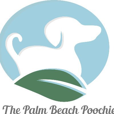 Palm Beach Poochie
