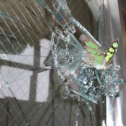 skizzeaufroot's profile picture. petulant vermin