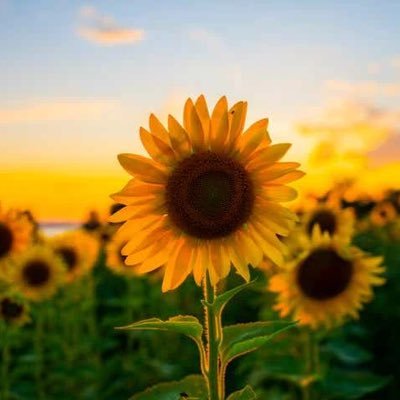 Missjd24's profile picture. 