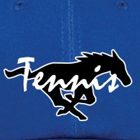 John Jay Tennis (@jjmustangtennis) 's Twitter Profile